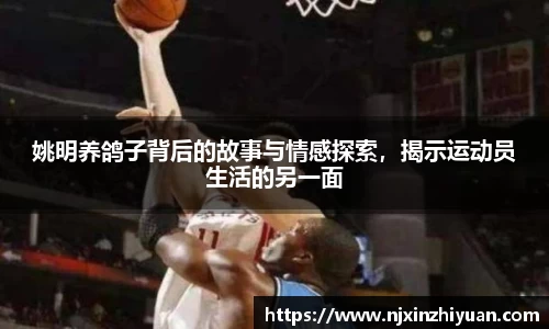姚明养鸽子背后的故事与情感探索，揭示运动员生活的另一面